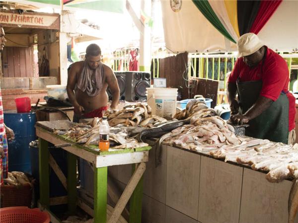 Guyana and Suriname holiday