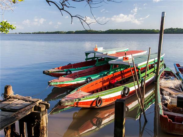 Guyana and Suriname holiday