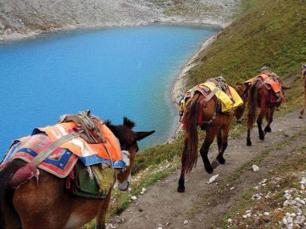 Great Himalaya Trail trek across Nepal