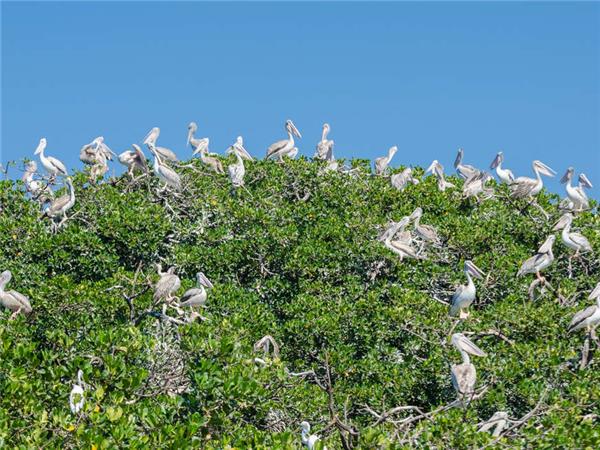 Senegal and Gambia river cruise holiday