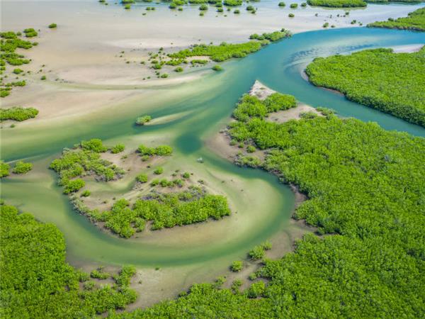 Senegal and Gambia river cruise