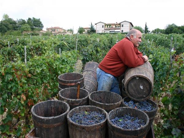 Tuscany self guided cycling holiday in Italy