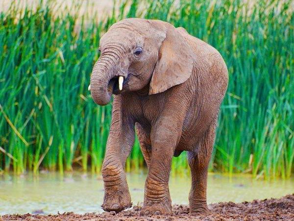 South Africa Garden Route holiday, small group
