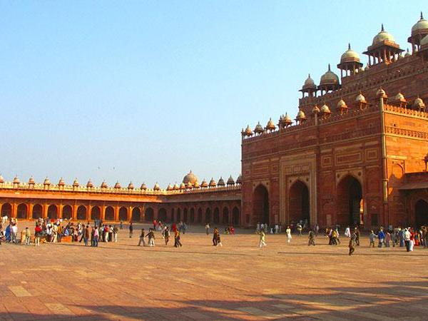 Rajasthan culture and wildlife tour