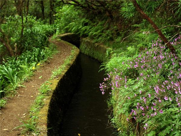 Madeira island holiday