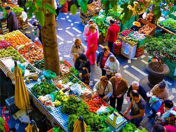 Madeira island holiday in comfort