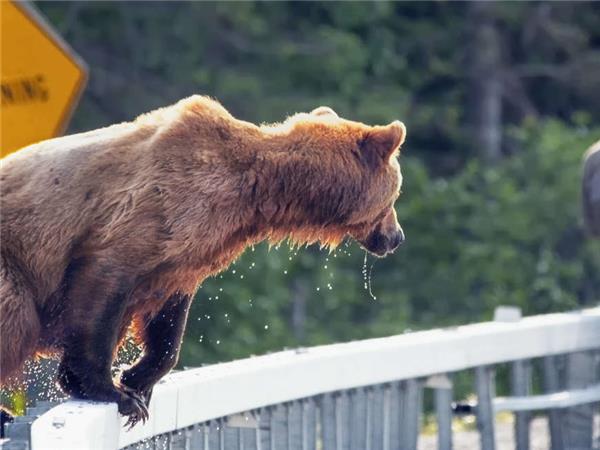 Outdoor Alaska holiday