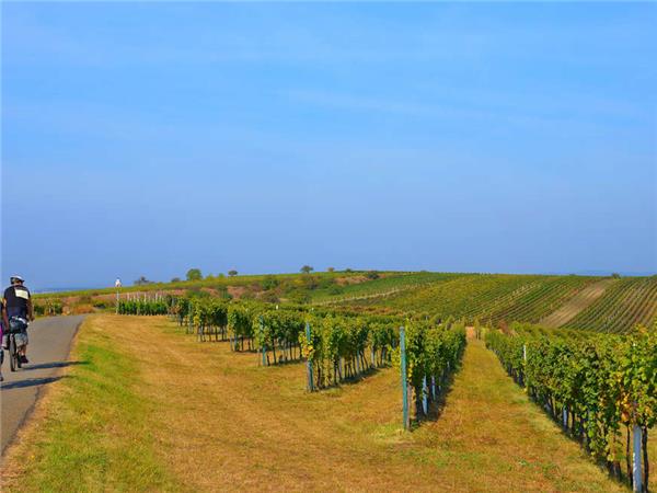 Prague to Meissen cycling holiday