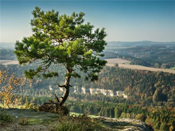 Prague to Meissen cycling holiday