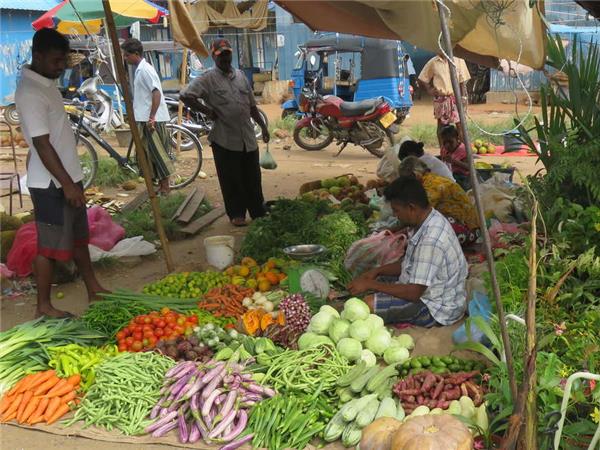 Family highlights of Sri Lanka holiday
