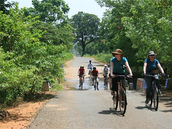 Small group holiday to Sri Lanka