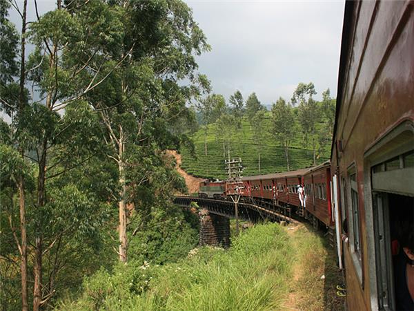 Small group holiday to Sri Lanka