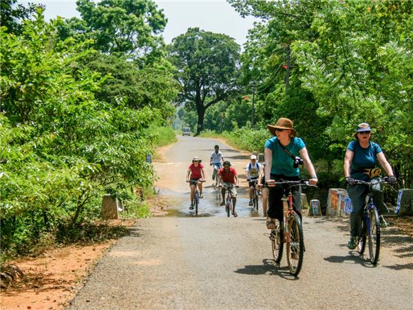 Small group holiday to Sri Lanka