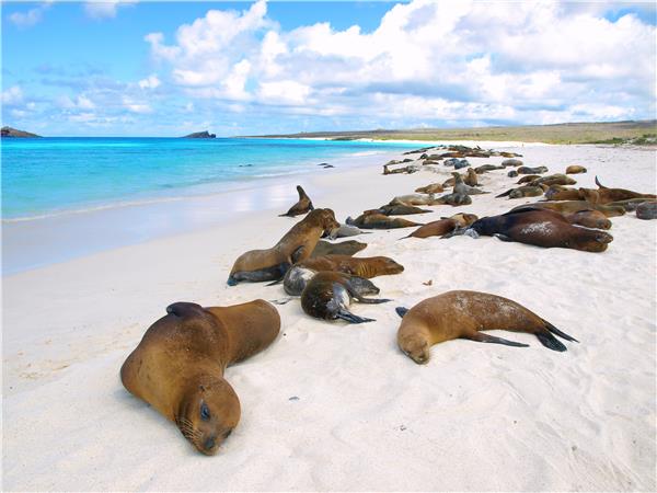 Galapagos holidays, Ecuador