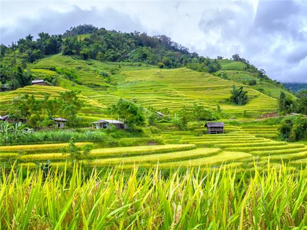 Vietnam in depth family holiday