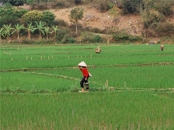 Vietnam in depth family holiday