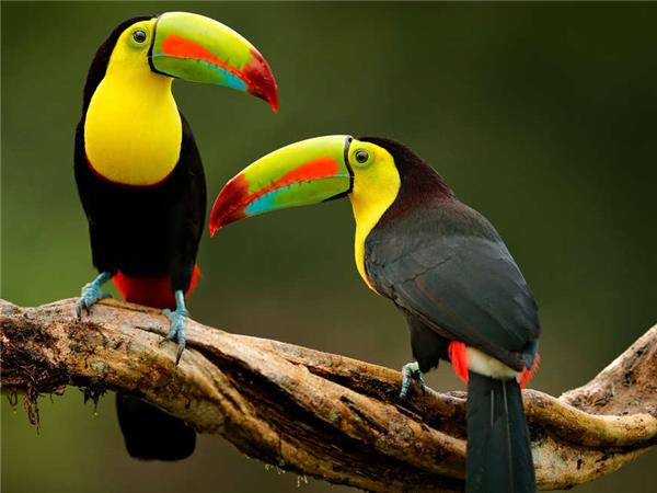 Belize small group family holiday
