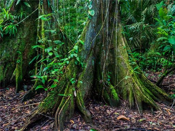 Belize small group family holiday