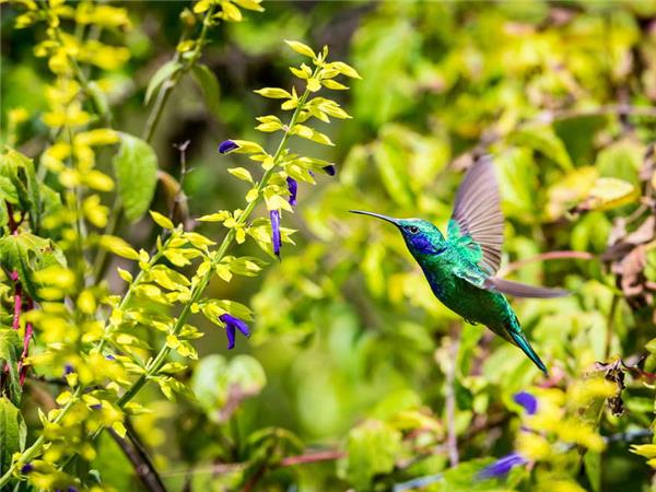 Costa Rica and Nicaragua walking holiday
