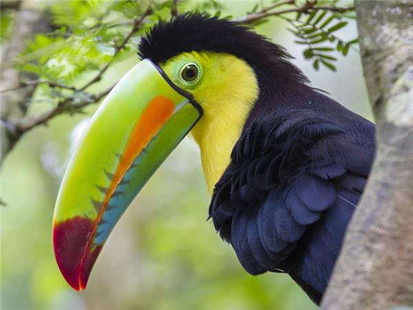 Costa Rica and Nicaragua walking holiday