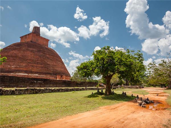 Active Sri Lanka holiday