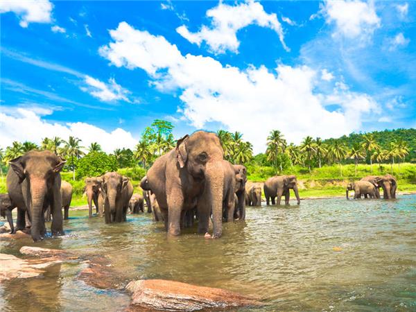 Active Sri Lanka holiday