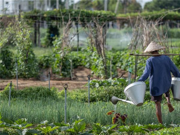 Vietnam food and culture holiday