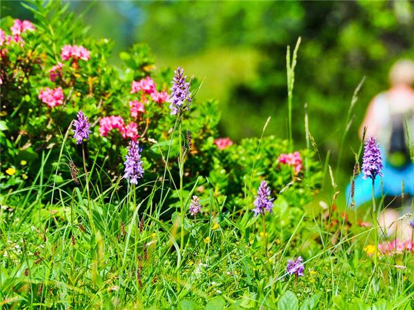 Walking and Wildlife in South Africa holiday