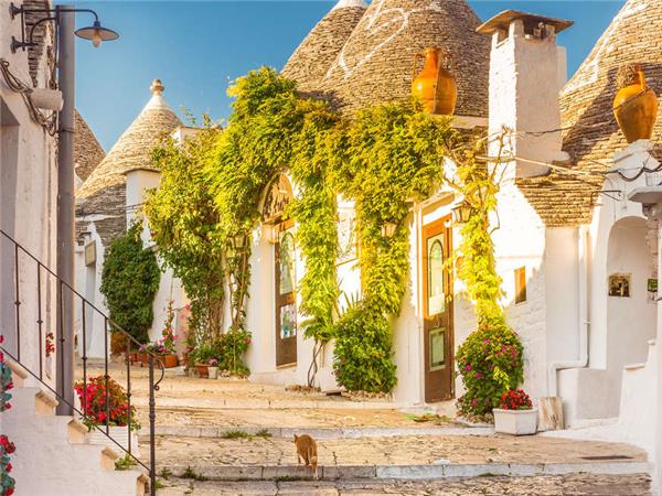 Highlights of Puglia holiday