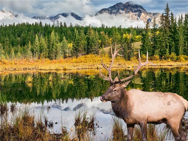 Walking in the Canadian Rockies holiday