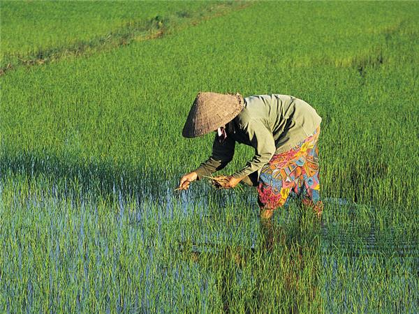 Vietnam in depth holiday, small group
