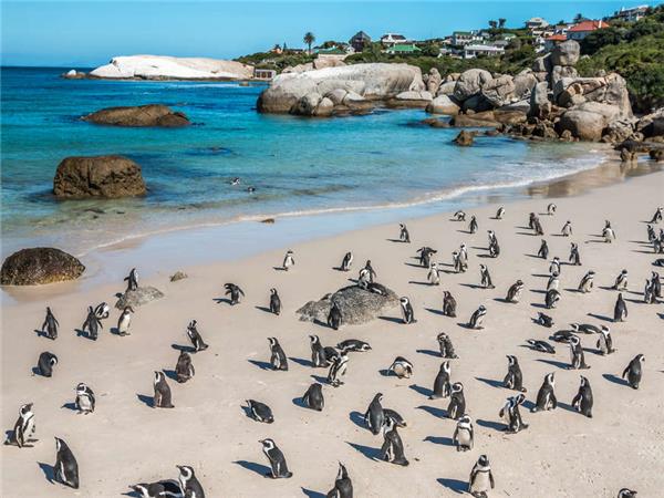 Cycling holiday in South Africa