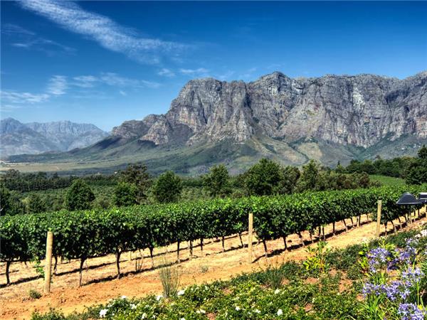 Cycling holiday in South Africa