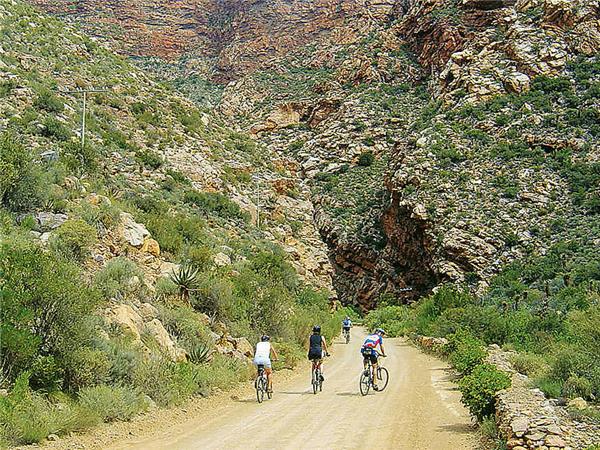 Cycling holiday in South Africa