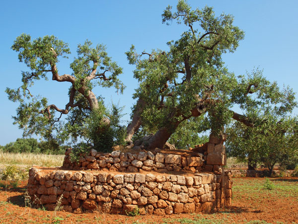 Highlights of Puglia cycling holiday