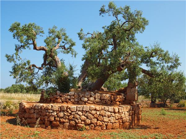 Highlights of Puglia cycling holiday