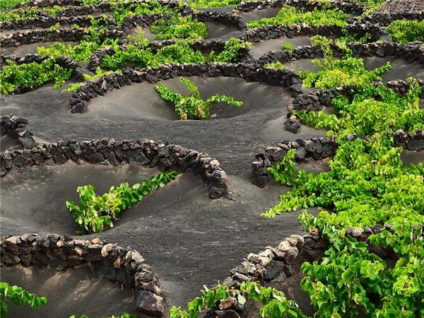 Lanzarote walking holiday in Canary Islands