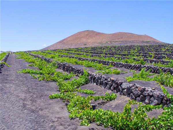 Lanzarote walking holiday in Canary Islands