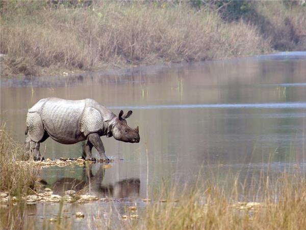 Highlights of Assam and Nagaland holiday