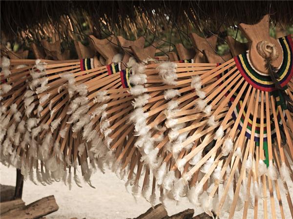 Highlights of Assam and Nagaland holiday