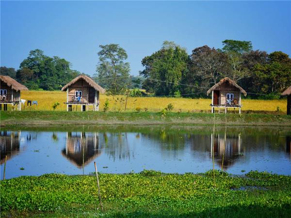 Highlights of Assam and Nagaland holiday