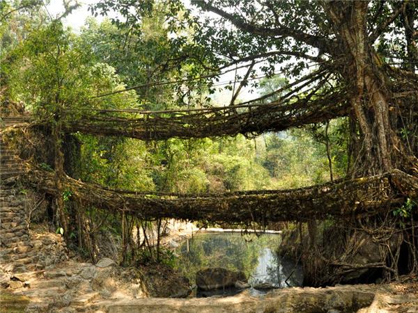 Highlights of Assam and Nagaland holiday