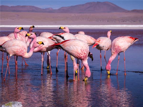Best of Argentina, Bolivia and Chile holiday