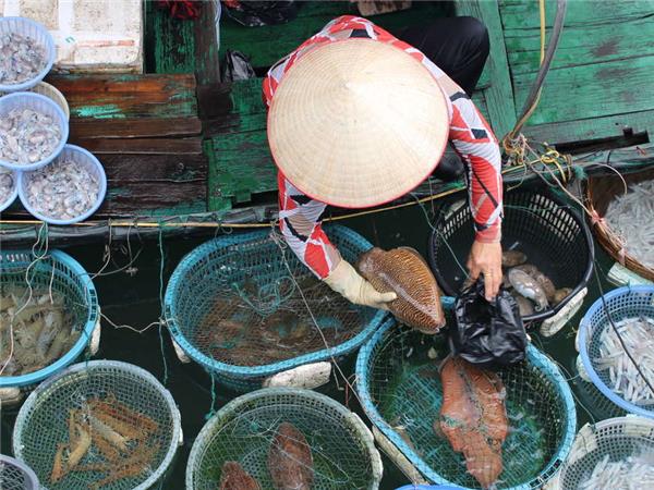 Indochina week tour Responsible Travel