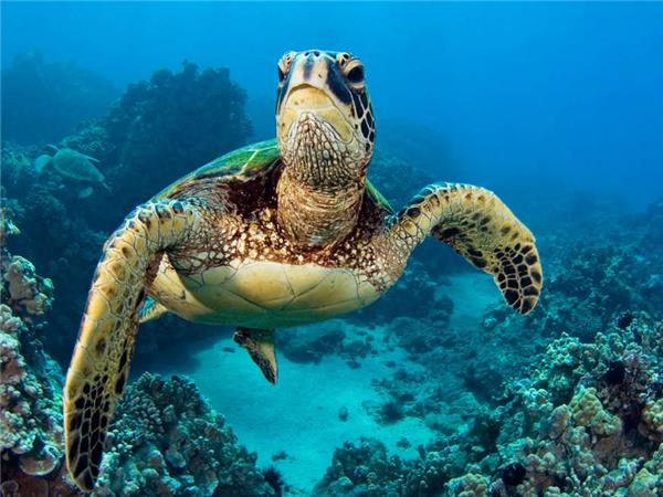 Small group holiday to Machu Picchu and Galapagos