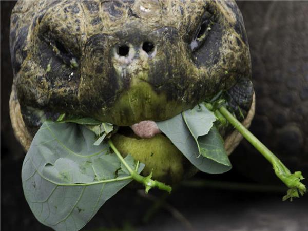Small group holiday to Machu Picchu and Galapagos