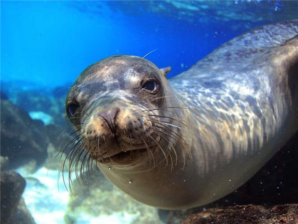 Small group holiday to Machu Picchu and Galapagos