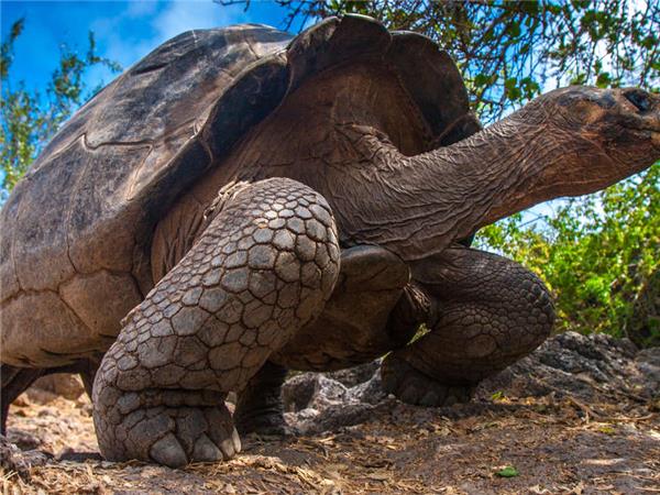 Small group holiday to Machu Picchu and Galapagos