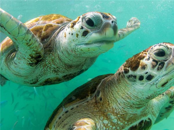Small group holiday to Machu Picchu and Galapagos
