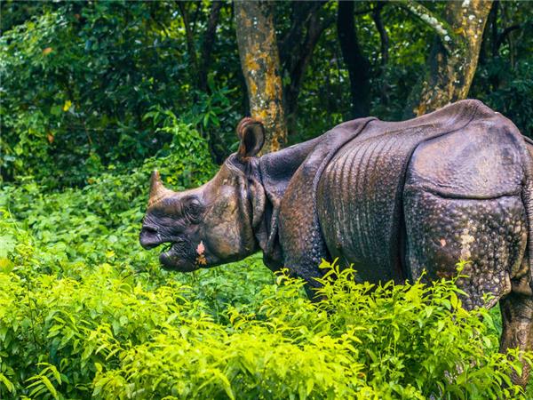 Walking the Annapurna foothills holiday